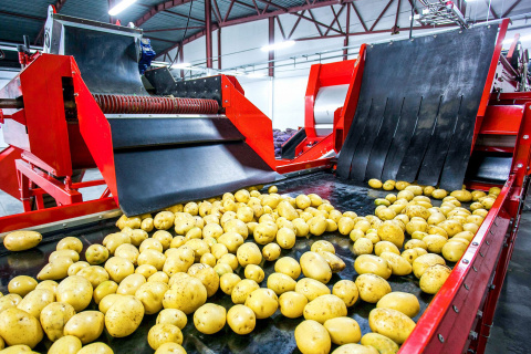 Инвестиционное предложение по организации производства по переработке картофеля