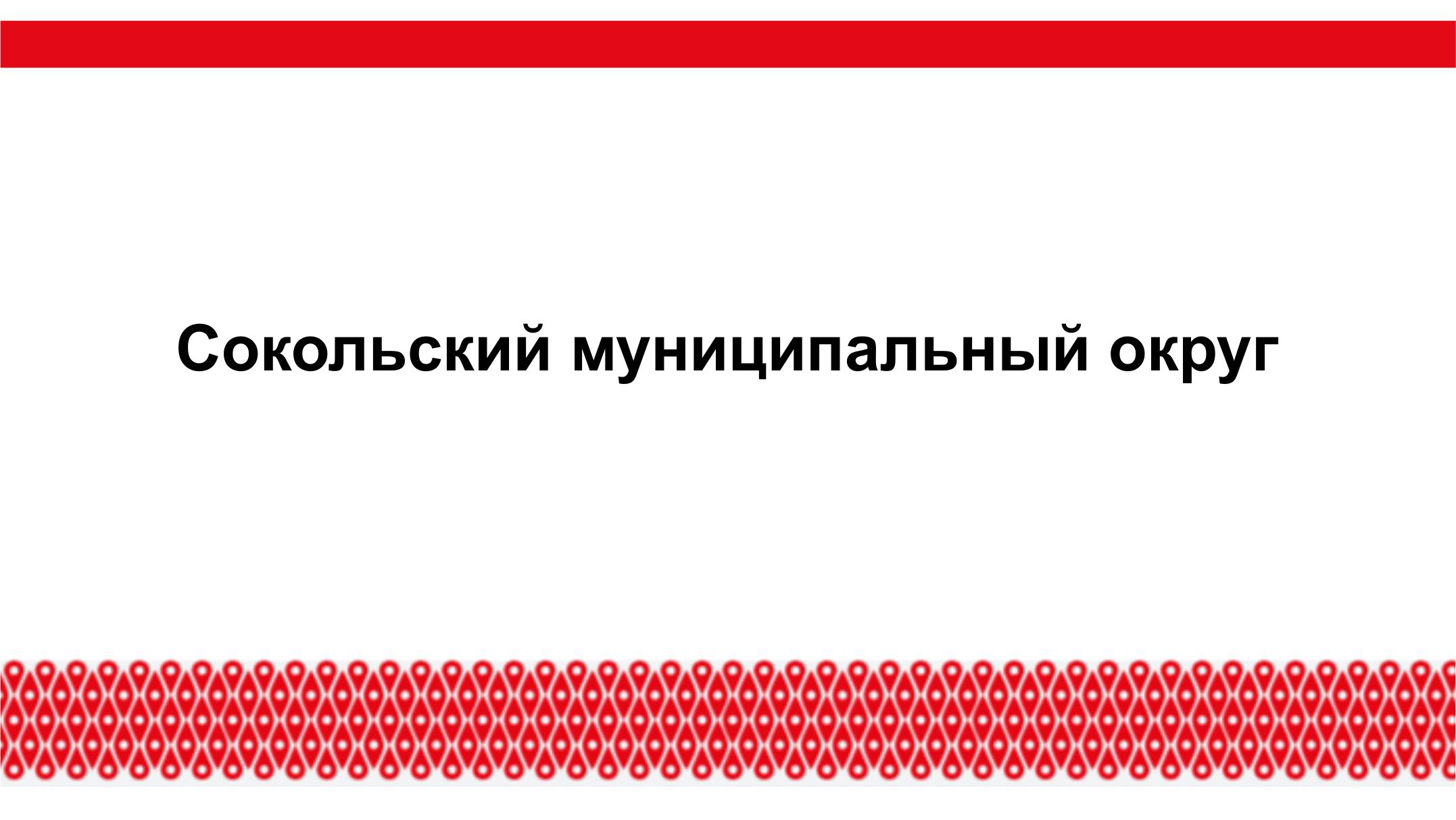 Инвестиционный уполномоченный Сокольского муниципального округа