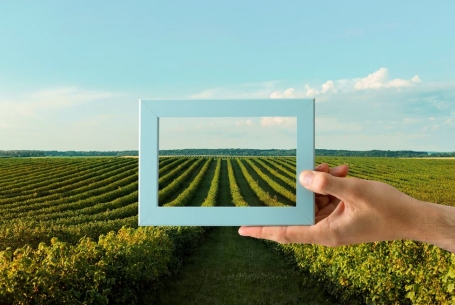 Аграрии Вологодчины могут получить компенсацию затрат на транспортировку сельхозпродукции